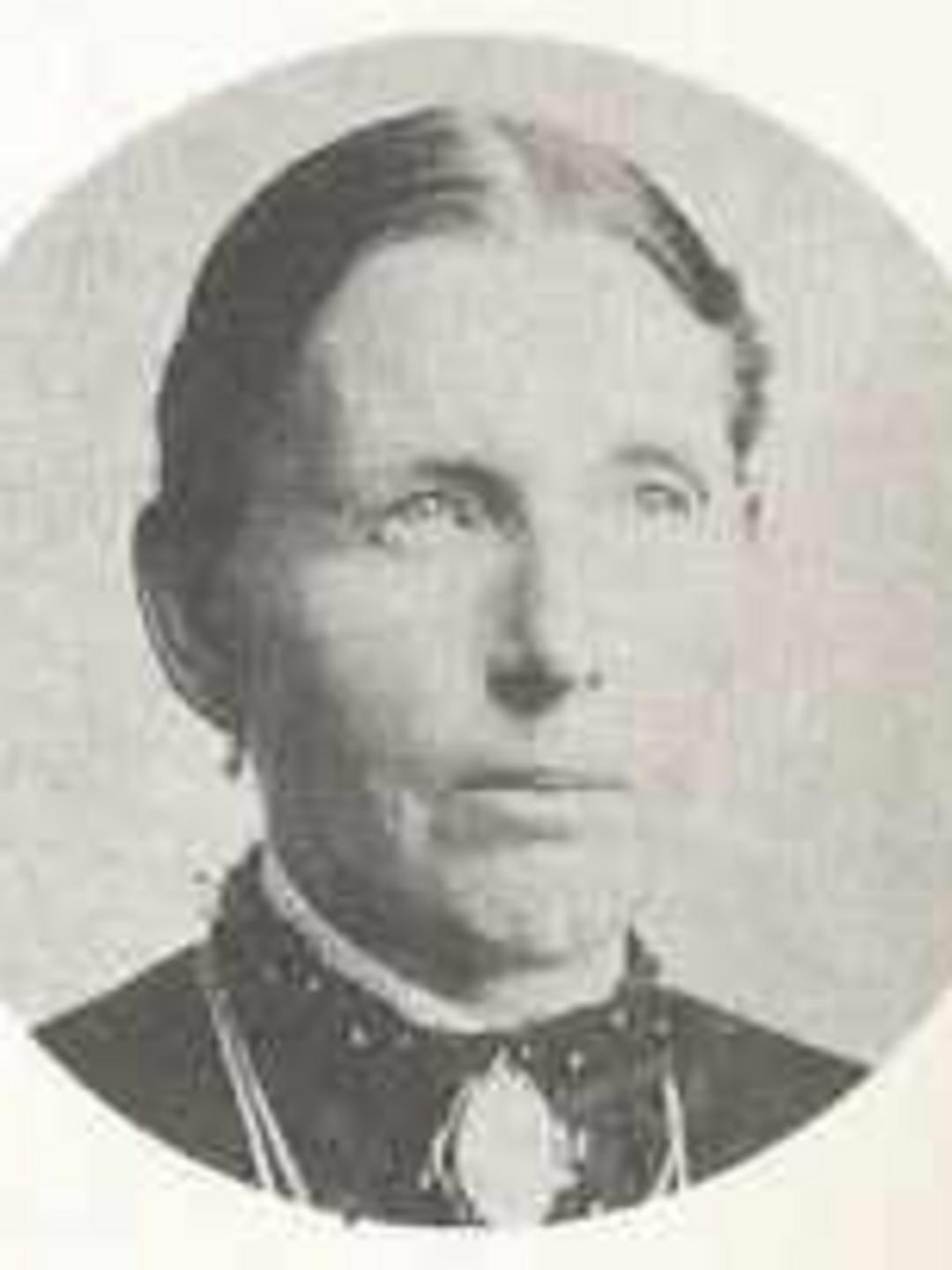 Mary Ann Johnson (1847 - 1919) Profile